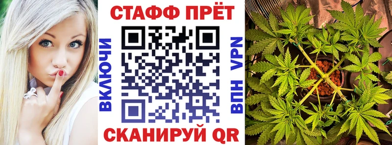 Где можно купить наркотики Черемхово Псилоцибиновые грибы  Меф мяу мяу  Alpha PVP  Каннабис  ГАШИШ  Cocaine 