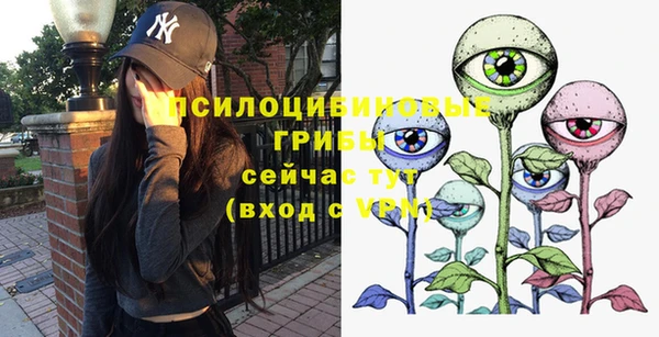 меф Алексин