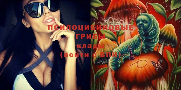 молекула духа Алзамай