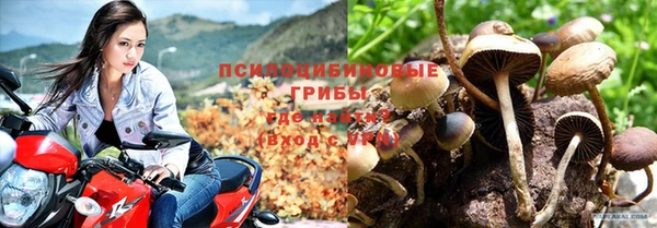 молекула духа Алзамай
